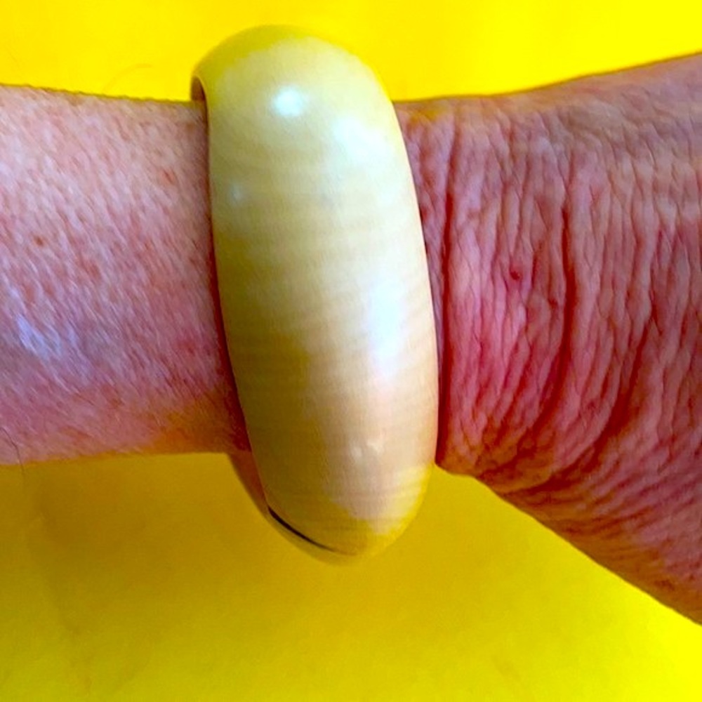NWOT. BANGLE of Houx Stephpalme Holly